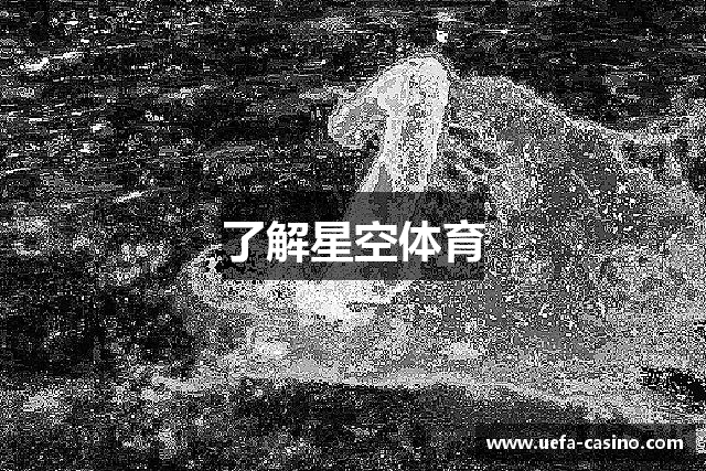 了解星空体育